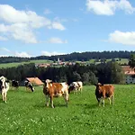 Bio-bauernhof Heidegger * Möggers