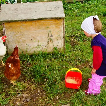 Bio-bauernhof Heidegger Moeggers