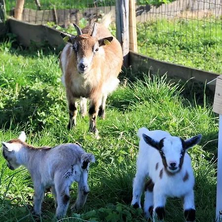 Bio-bauernhof Heidegger * Moeggers