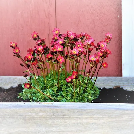 Bio-bauernhof Heidegger Moeggers