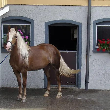 Farm stay Bio-bauernhof Heidegger *