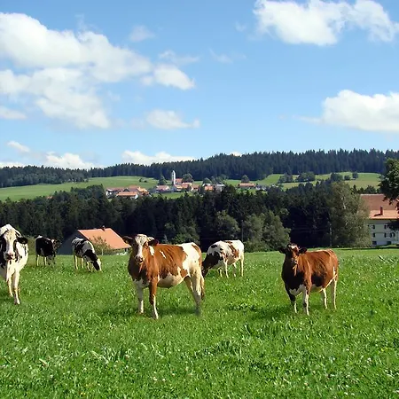 Bio-bauernhof Heidegger * Moeggers