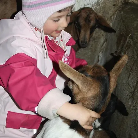 Farm stay Bio-bauernhof Heidegger *