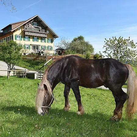 Bio-bauernhof Heidegger Farm stay