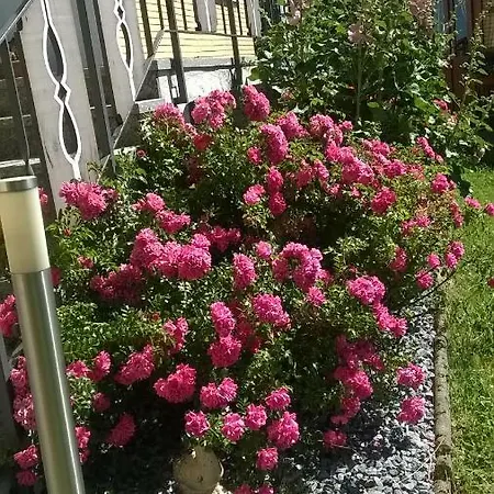 Farm stay Bio-bauernhof Heidegger Moeggers