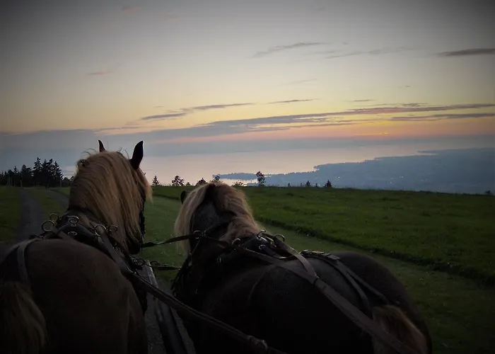 Bio-bauernhof Heidegger Farm stay Moeggers