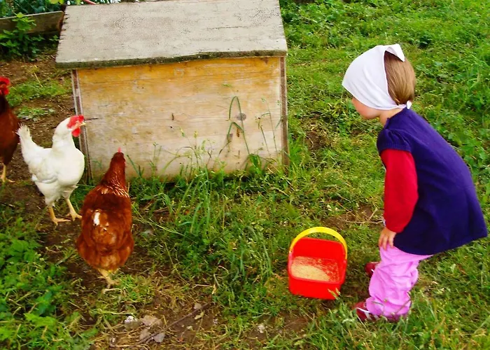 Bio-bauernhof Heidegger Moeggers