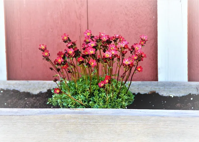 Bio-bauernhof Heidegger Moeggers