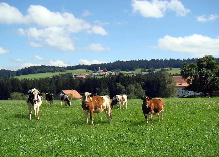 Bio-bauernhof Heidegger * Moeggers