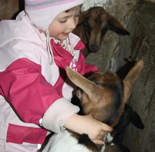 Farm stay Bio-bauernhof Heidegger *