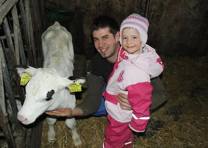 Bio-bauernhof Heidegger