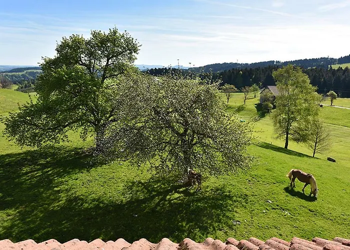 Bio-bauernhof Heidegger Farm stay Moeggers