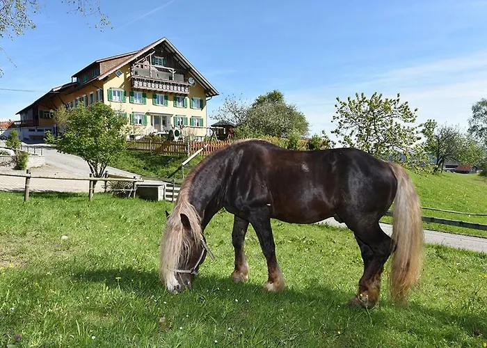 Bio-bauernhof Heidegger Farm stay