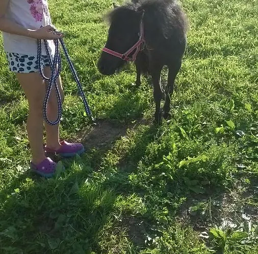 Farm stay Bio-bauernhof Heidegger